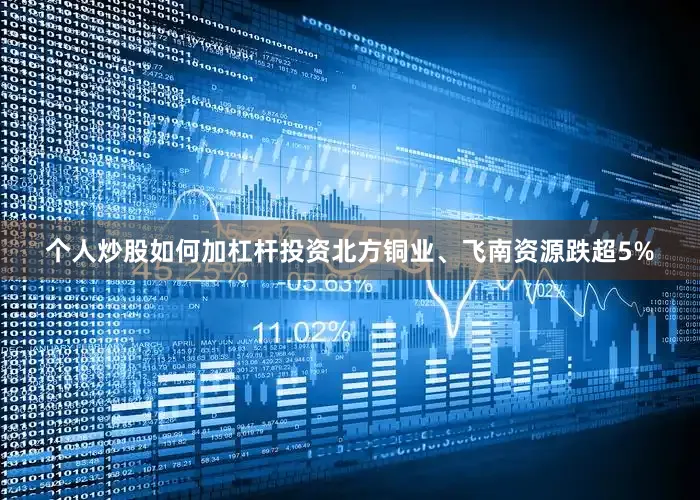 个人炒股如何加杠杆投资北方铜业、飞南资源跌超5%
