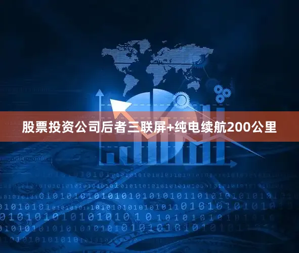 股票投资公司后者三联屏+纯电续航200公里