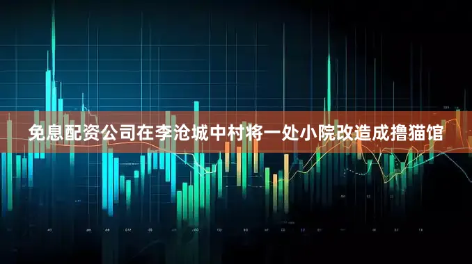 免息配资公司在李沧城中村将一处小院改造成撸猫馆