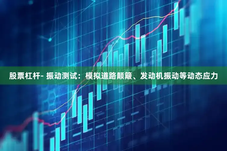 股票杠杆- 振动测试：模拟道路颠簸、发动机振动等动态应力