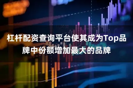 杠杆配资查询平台使其成为Top品牌中份额增加最大的品牌