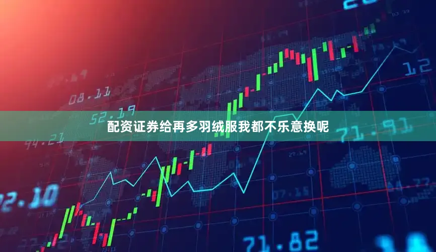 配资证券给再多羽绒服我都不乐意换呢
