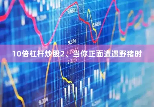 10倍杠杆炒股2、当你正面遭遇野猪时