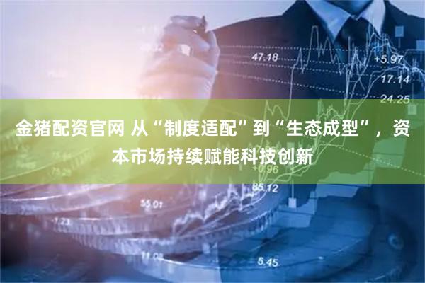 金猪配资官网 从“制度适配”到“生态成型”，资本市场持续赋能科技创新